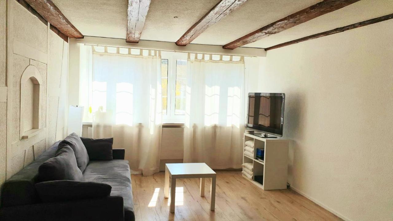 Cozy Apartment Close To Zurich Airport And City Oberglatt Εξωτερικό φωτογραφία