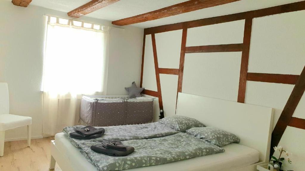 Cozy Apartment Close To Zurich Airport And City Oberglatt Εξωτερικό φωτογραφία