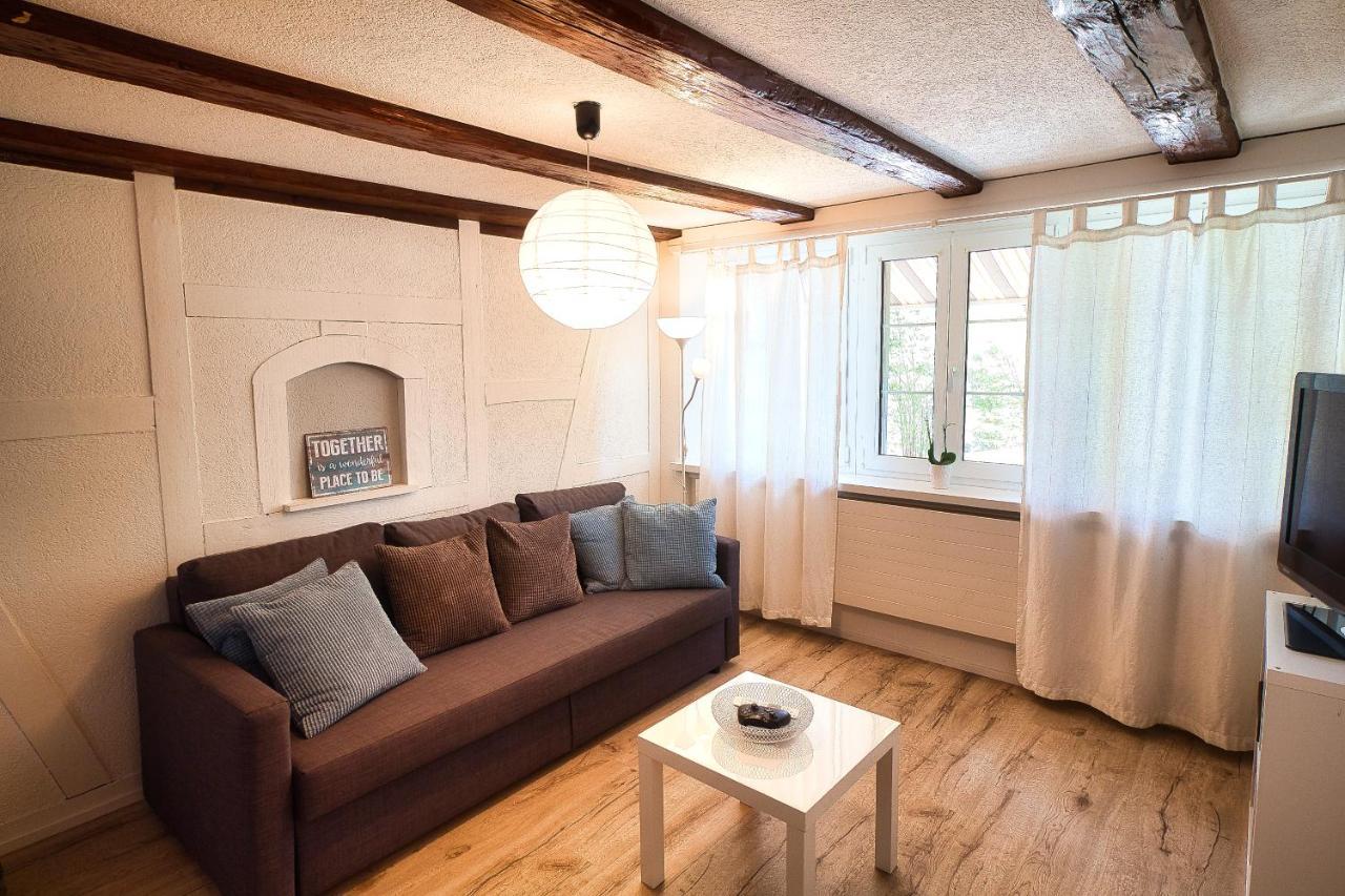 Cozy Apartment Close To Zurich Airport And City Oberglatt Εξωτερικό φωτογραφία