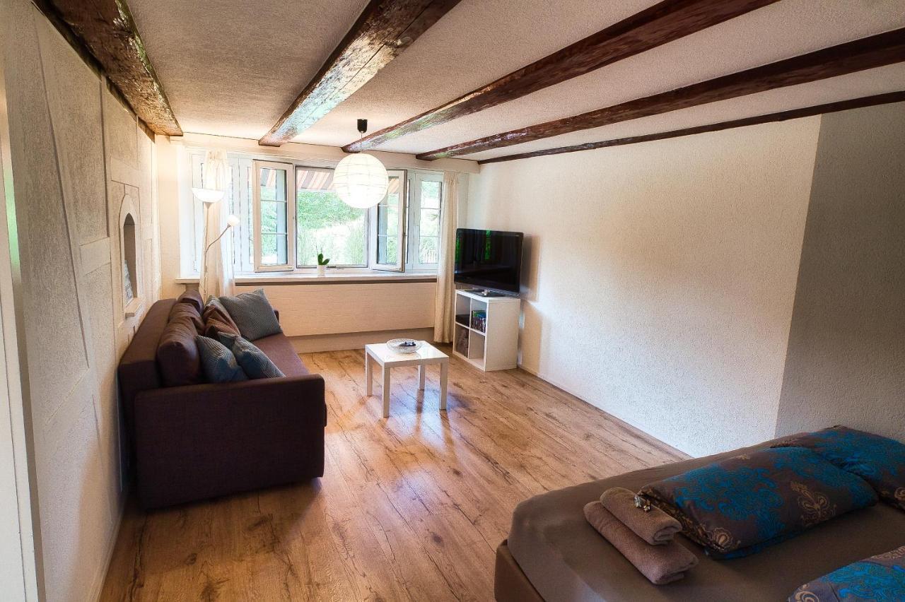 Cozy Apartment Close To Zurich Airport And City Oberglatt Εξωτερικό φωτογραφία