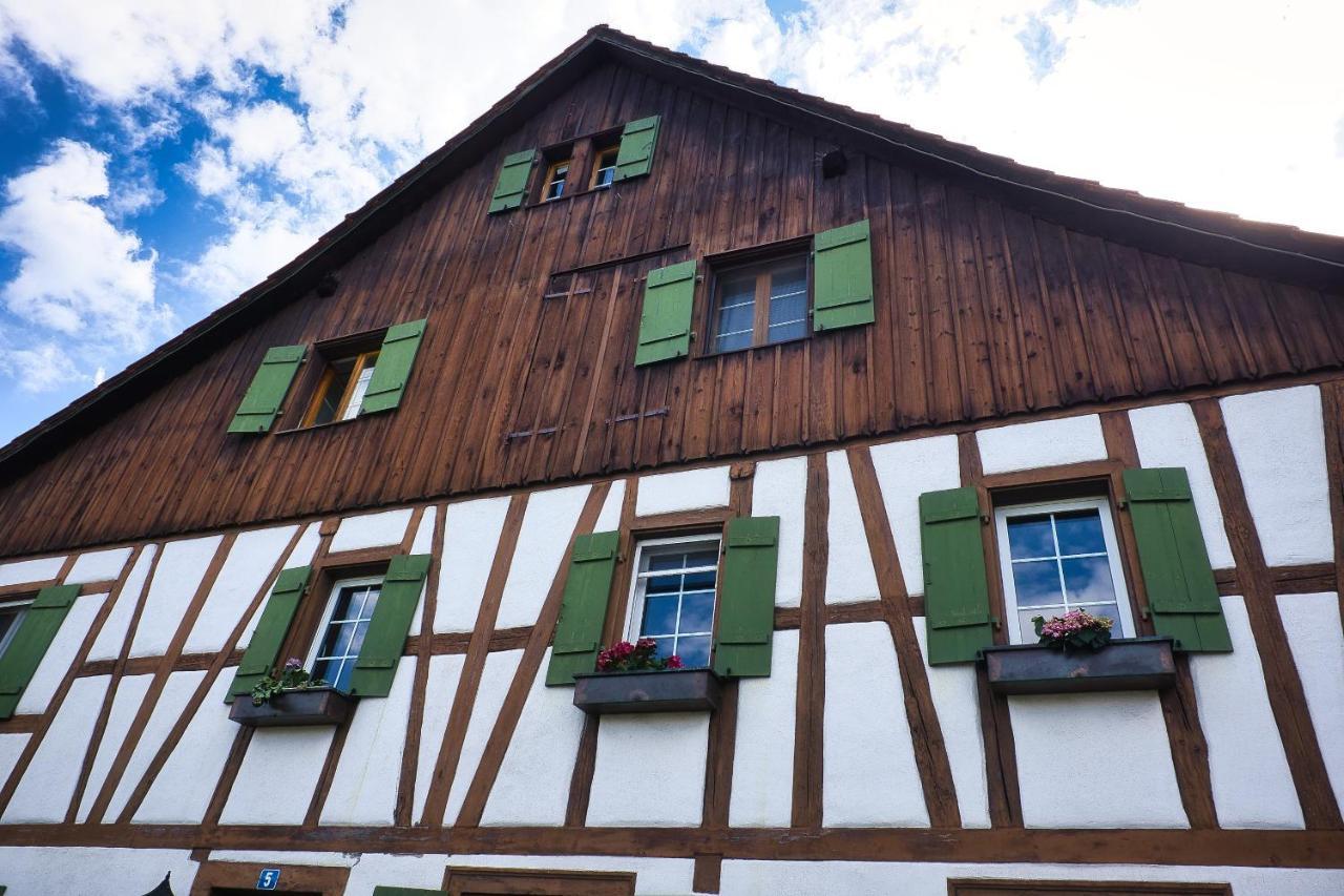 Cozy Apartment Close To Zurich Airport And City Oberglatt Εξωτερικό φωτογραφία