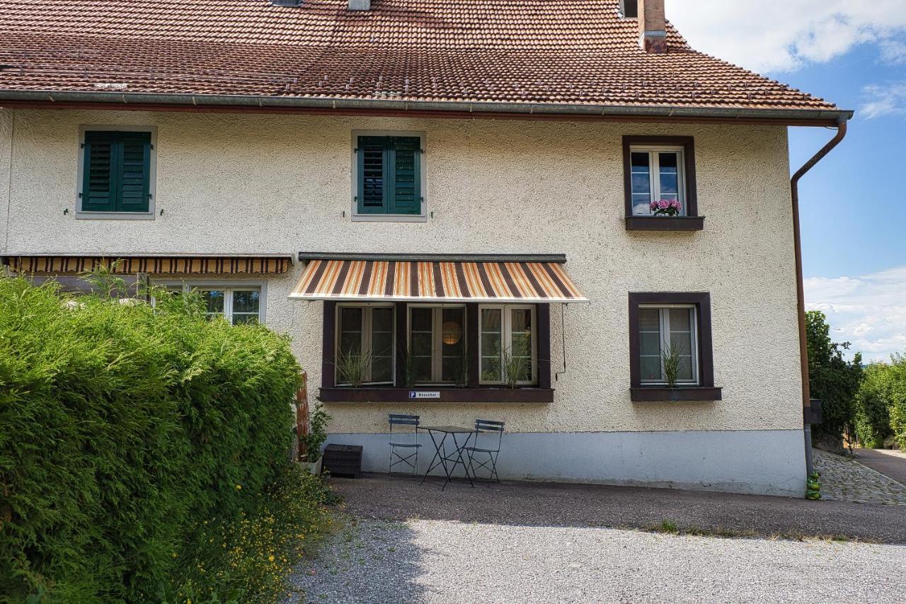Cozy Apartment Close To Zurich Airport And City Oberglatt Εξωτερικό φωτογραφία